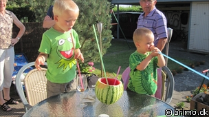 Miniature af billede nummer 1713