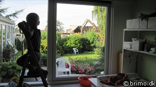 Tilfældigt billede fra August 2010