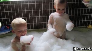 Miniature af billede nummer 1719