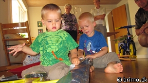 Miniature af billede nummer 1730