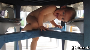 Miniature af billede nummer 1733