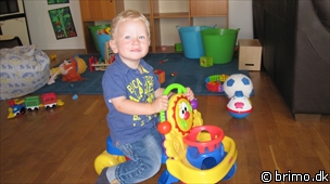 Miniature af billede nummer 1735