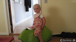 Miniature af billede nummer 1736