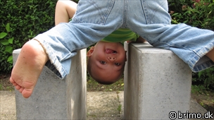 Miniature af billede nummer 1738