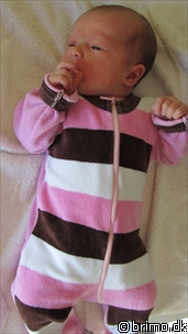 Miniature af billede nummer 1752