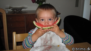 Miniature af billede nummer 1756