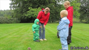 Miniature af billede nummer 1769