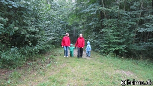 Miniature af billede nummer 1770