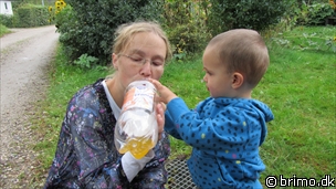 Miniature af billede nummer 1771