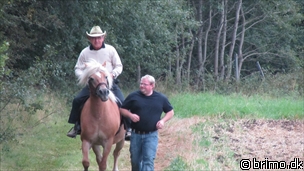 Miniature af billede nummer 1773