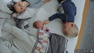 Miniature af billede nummer 1778