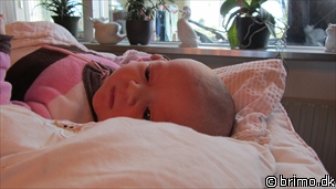 Miniature af billede nummer 1779