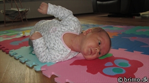 Miniature af billede nummer 1784