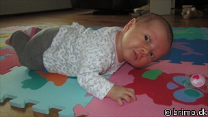 Miniature af billede nummer 1785