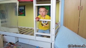 Miniature af billede nummer 1786