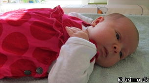 Miniature af billede nummer 1788