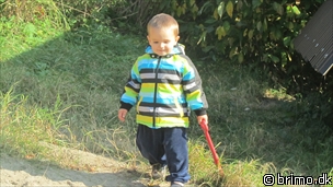 Miniature af billede nummer 1793