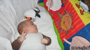 Miniature af billede nummer 1798