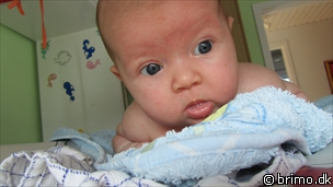 Miniature af billede nummer 1799