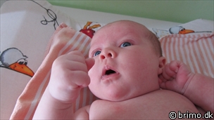 Miniature af billede nummer 1800