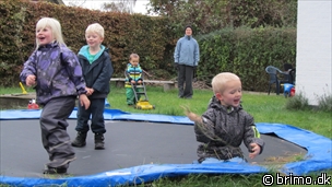 Miniature af billede nummer 1802