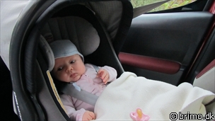 Miniature af billede nummer 1805