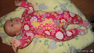 Miniature af billede nummer 1810