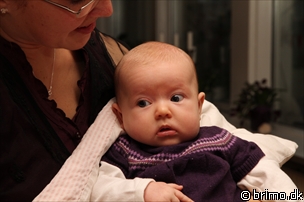 Miniature af billede nummer 1821