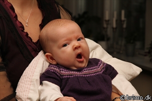 Miniature af billede nummer 1822