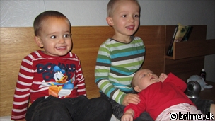 Miniature af billede nummer 1827