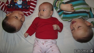 Miniature af billede nummer 1828