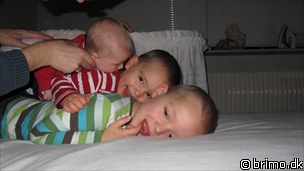 Miniature af billede nummer 1829