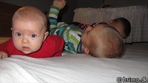 Miniature af billede nummer 1831