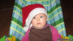 Miniature af billede nummer 1834