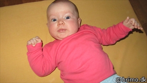 Miniature af billede nummer 1838