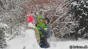 Miniature af billede nummer 1841