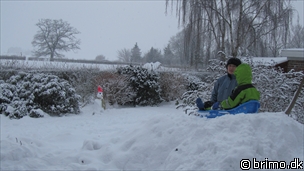 Miniature af billede nummer 1842