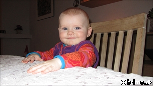 Miniature af billede nummer 1847