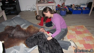 Miniature af billede nummer 1856