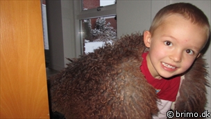 Miniature af billede nummer 1857