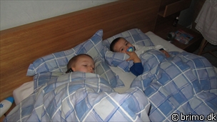 Miniature af billede nummer 1858