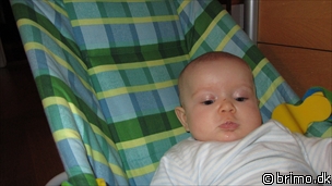 Miniature af billede nummer 1860