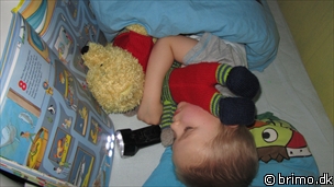 Miniature af billede nummer 1886