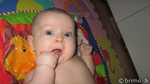 Miniature af billede nummer 1897