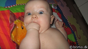 Miniature af billede nummer 1898