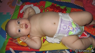 Miniature af billede nummer 1899