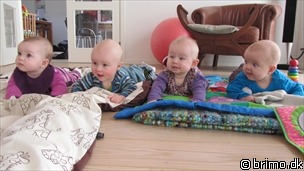 Miniature af billede nummer 1903