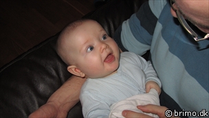 Miniature af billede nummer 1907