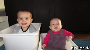 Miniature af billede nummer 1909