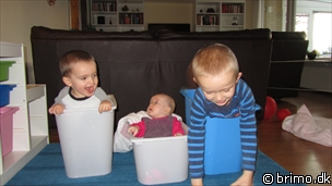 Miniature af billede nummer 1910